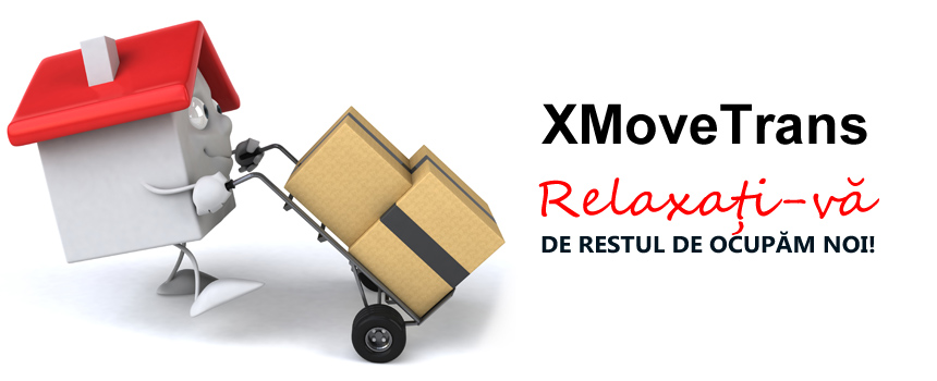 Echipa XMoveTrans la o mutare